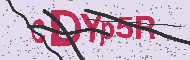 Captcha認証コード